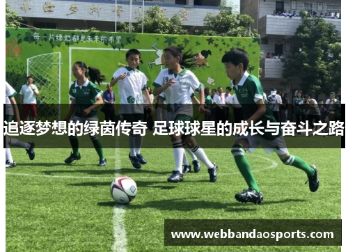 追逐梦想的绿茵传奇 足球球星的成长与奋斗之路