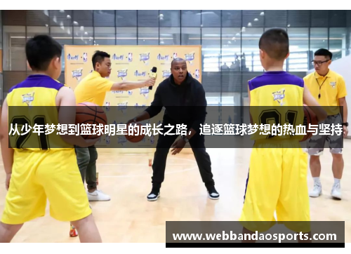 从少年梦想到篮球明星的成长之路，追逐篮球梦想的热血与坚持