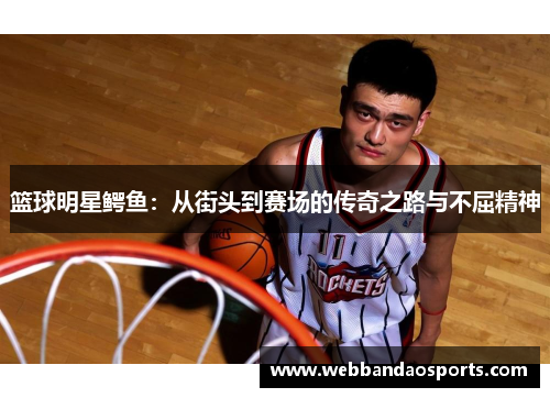 篮球明星鳄鱼：从街头到赛场的传奇之路与不屈精神